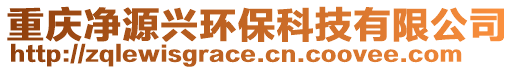 重慶凈源興環(huán)保科技有限公司