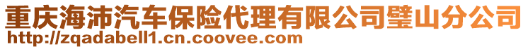 重慶海沛汽車(chē)保險(xiǎn)代理有限公司璧山分公司