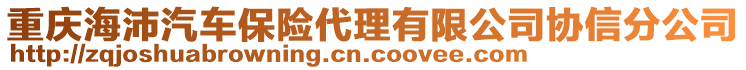 重慶海沛汽車保險(xiǎn)代理有限公司協(xié)信分公司