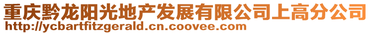 重慶黔龍陽光地產發展有限公司上高分公司