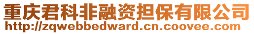 重慶君科非融資擔保有限公司