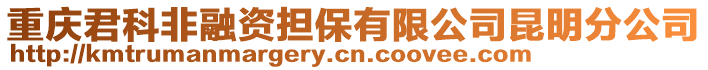 重慶君科非融資擔保有限公司昆明分公司