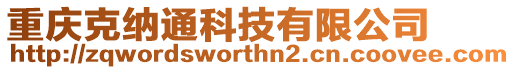 重慶克納通科技有限公司