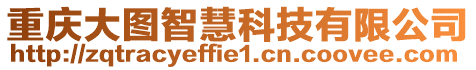 重慶大圖智慧科技有限公司