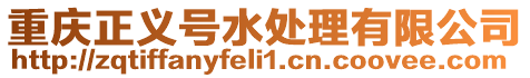 重慶正義號(hào)水處理有限公司