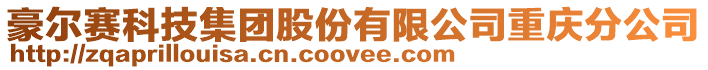 豪爾賽科技集團(tuán)股份有限公司重慶分公司