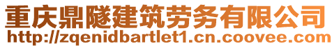 重慶鼎隧建筑勞務(wù)有限公司