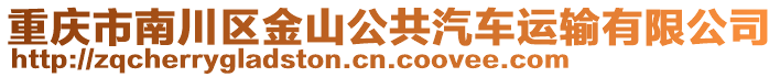 重慶市南川區(qū)金山公共汽車運(yùn)輸有限公司