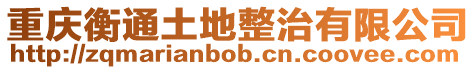 重慶衡通土地整治有限公司
