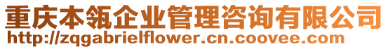 重慶本瓴企業(yè)管理咨詢有限公司