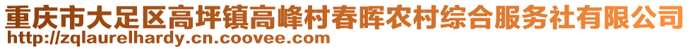 重慶市大足區(qū)高坪鎮(zhèn)高峰村春暉農(nóng)村綜合服務(wù)社有限公司