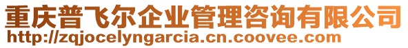 重慶普飛爾企業(yè)管理咨詢有限公司