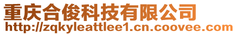 重慶合俊科技有限公司