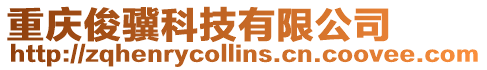 重慶俊驥科技有限公司