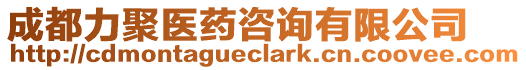 成都力聚醫藥咨詢有限公司