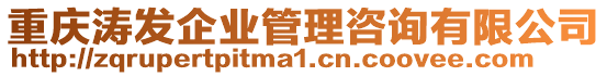 重慶濤發(fā)企業(yè)管理咨詢有限公司