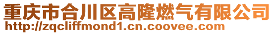 重慶市合川區高隆燃氣有限公司