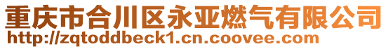 重慶市合川區(qū)永亞燃?xì)庥邢薰? style=