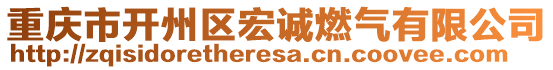 重慶市開州區宏誠燃氣有限公司