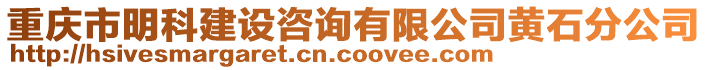 重慶市明科建設(shè)咨詢有限公司黃石分公司