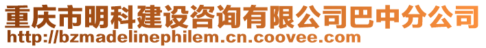 重慶市明科建設咨詢有限公司巴中分公司