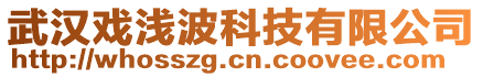 武漢戲淺波科技有限公司