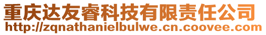 重慶達(dá)友睿科技有限責(zé)任公司