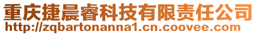 重慶捷晨睿科技有限責任公司