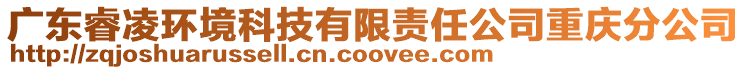 廣東睿凌環(huán)境科技有限責任公司重慶分公司