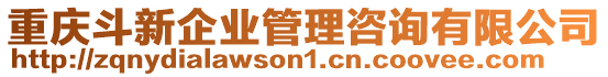 重慶斗新企業管理咨詢有限公司