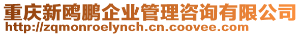 重慶新鷗鵬企業(yè)管理咨詢有限公司