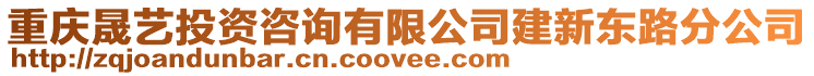 重慶晟藝投資咨詢有限公司建新東路分公司