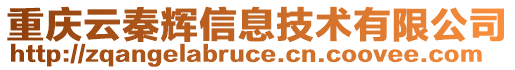 重慶云秦輝信息技術(shù)有限公司