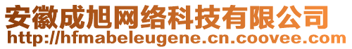 安徽成旭網(wǎng)絡(luò)科技有限公司