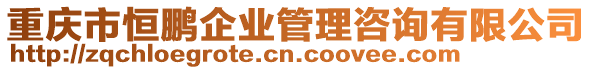 重慶市恒鵬企業(yè)管理咨詢(xún)有限公司