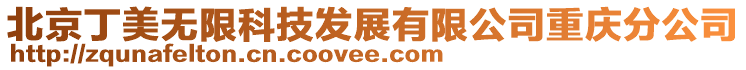 北京丁美無限科技發展有限公司重慶分公司