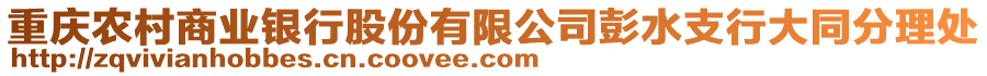 重慶農(nóng)村商業(yè)銀行股份有限公司彭水支行大同分理處