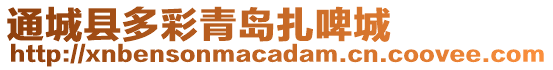 通城縣多彩青島扎啤城