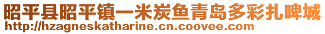 昭平縣昭平鎮(zhèn)一米炭魚青島多彩扎啤城