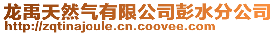 龍禹天然氣有限公司彭水分公司