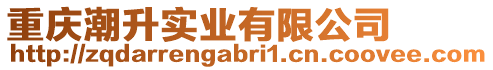 重慶潮升實業有限公司