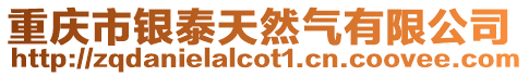 重慶市銀泰天然氣有限公司