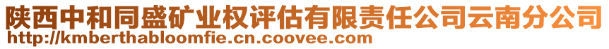 陜西中和同盛礦業(yè)權(quán)評(píng)估有限責(zé)任公司云南分公司