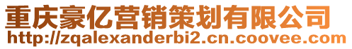 重慶豪億營(yíng)銷策劃有限公司