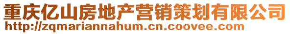 重慶億山房地產營銷策劃有限公司