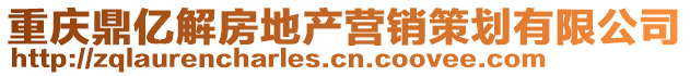 重慶鼎億解房地產(chǎn)營(yíng)銷(xiāo)策劃有限公司