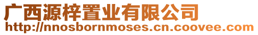 廣西源梓置業(yè)有限公司