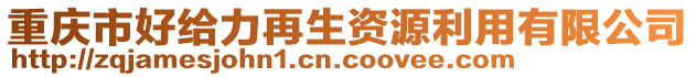 重慶市好給力再生資源利用有限公司