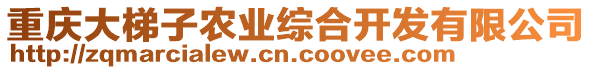 重慶大梯子農(nóng)業(yè)綜合開發(fā)有限公司