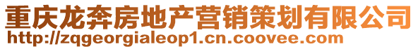 重慶龍奔房地產(chǎn)營(yíng)銷(xiāo)策劃有限公司